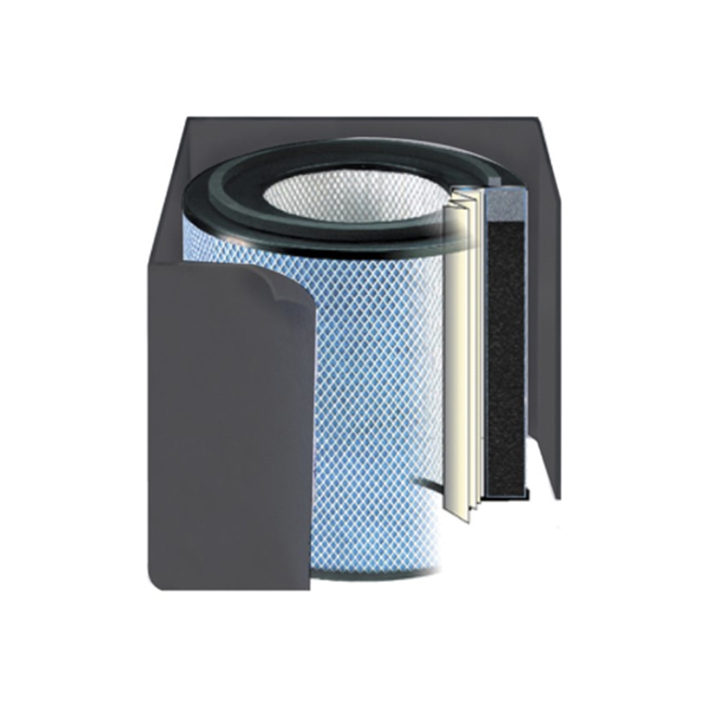 Austin Air HealthMate Filter
