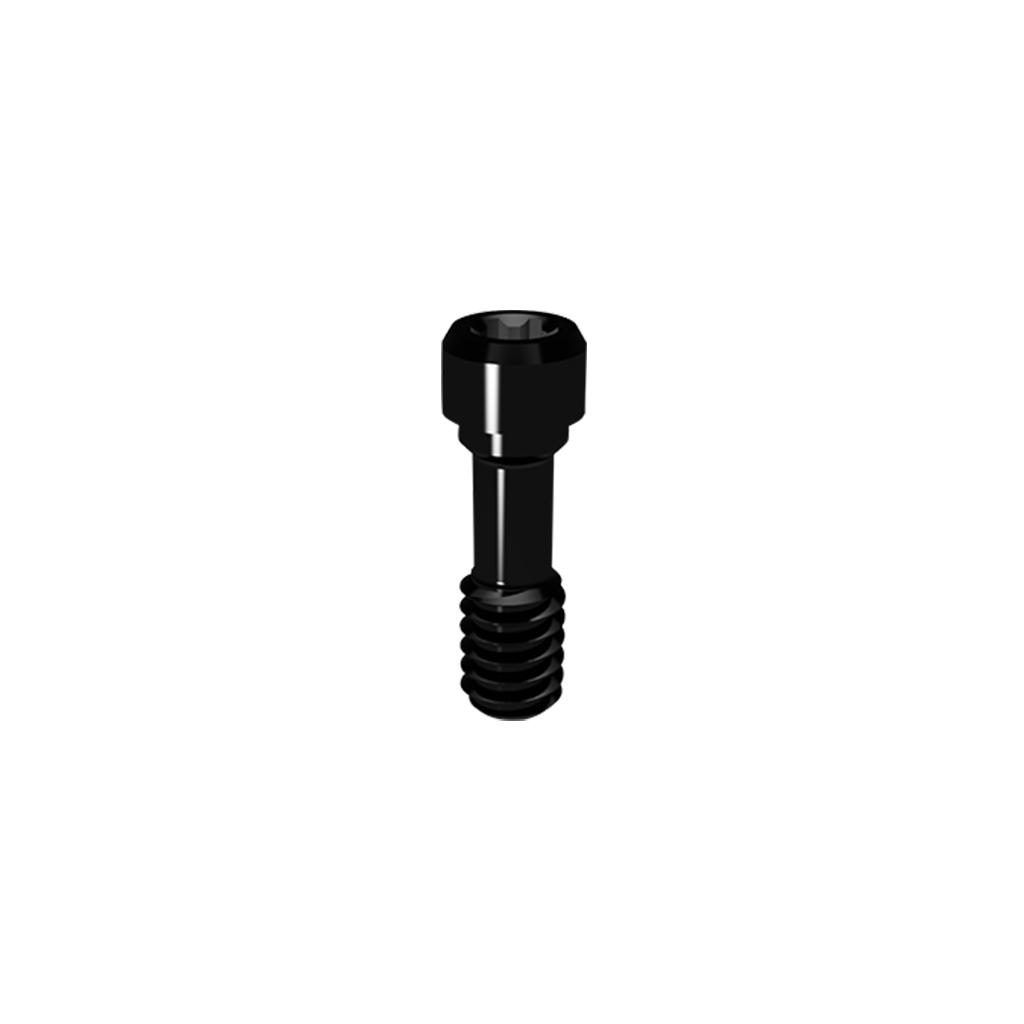 Elos Prosthetic Screw - AS-BRAM207POS