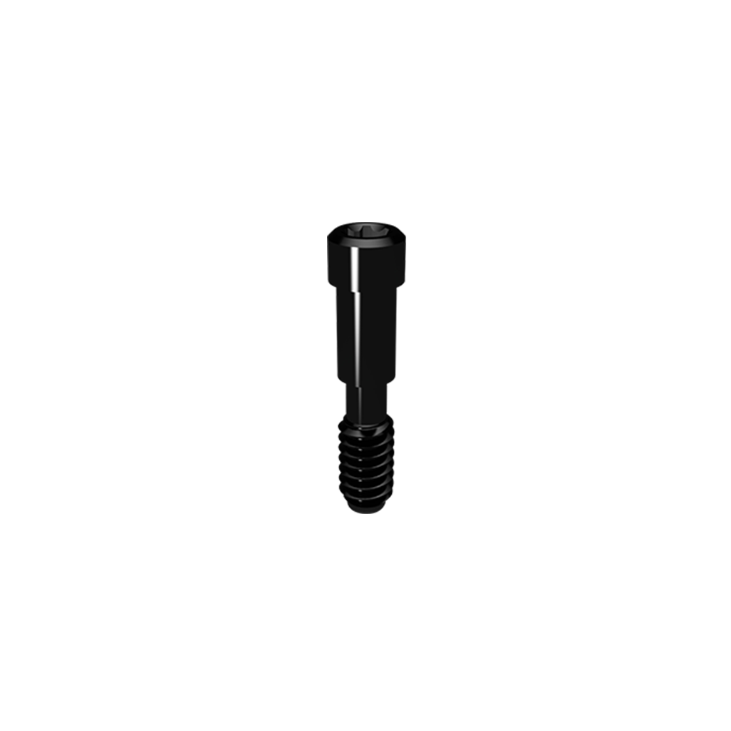 Elos Prosthetic Screw - AS-NBRM2010POS